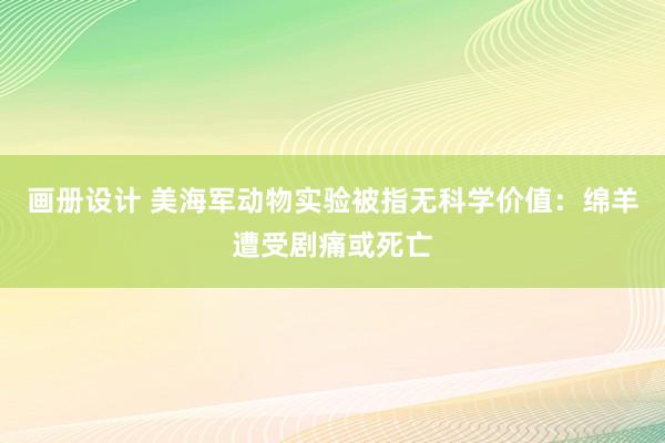 画册设计 美海军动物实验被指无科学价值：绵羊遭受剧痛或死亡