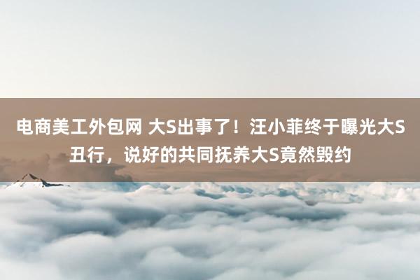 电商美工外包网 大S出事了！汪小菲终于曝光大S丑行，说好的共同抚养大S竟然毁约