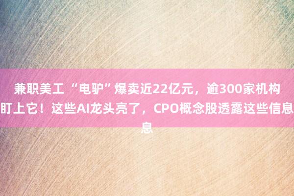 兼职美工 “电驴”爆卖近22亿元，逾300家机构盯上它！这些AI龙头亮了，CPO概念股透露这些信息